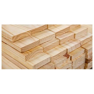 PINUS - M3 - DIV. BITOLAS