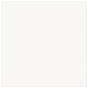 ZZ FORMICA TS DF 2F BRANCO BR 3,O (308 X 125) L120 1A consultar$