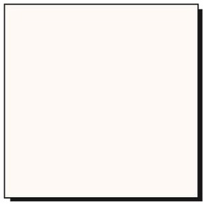 ZZ NOR FORMICA TS 2F BRANCO L120 TX 3,0MM (1,00 X 2,13)m